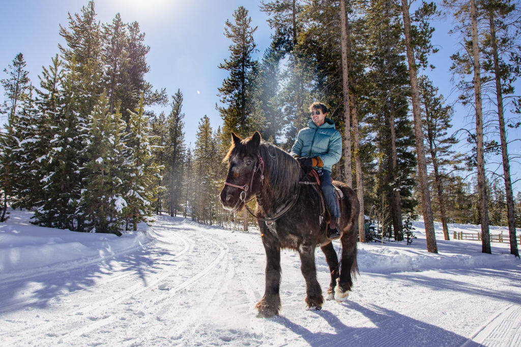 A man is riding a horse through a trees in the winter.