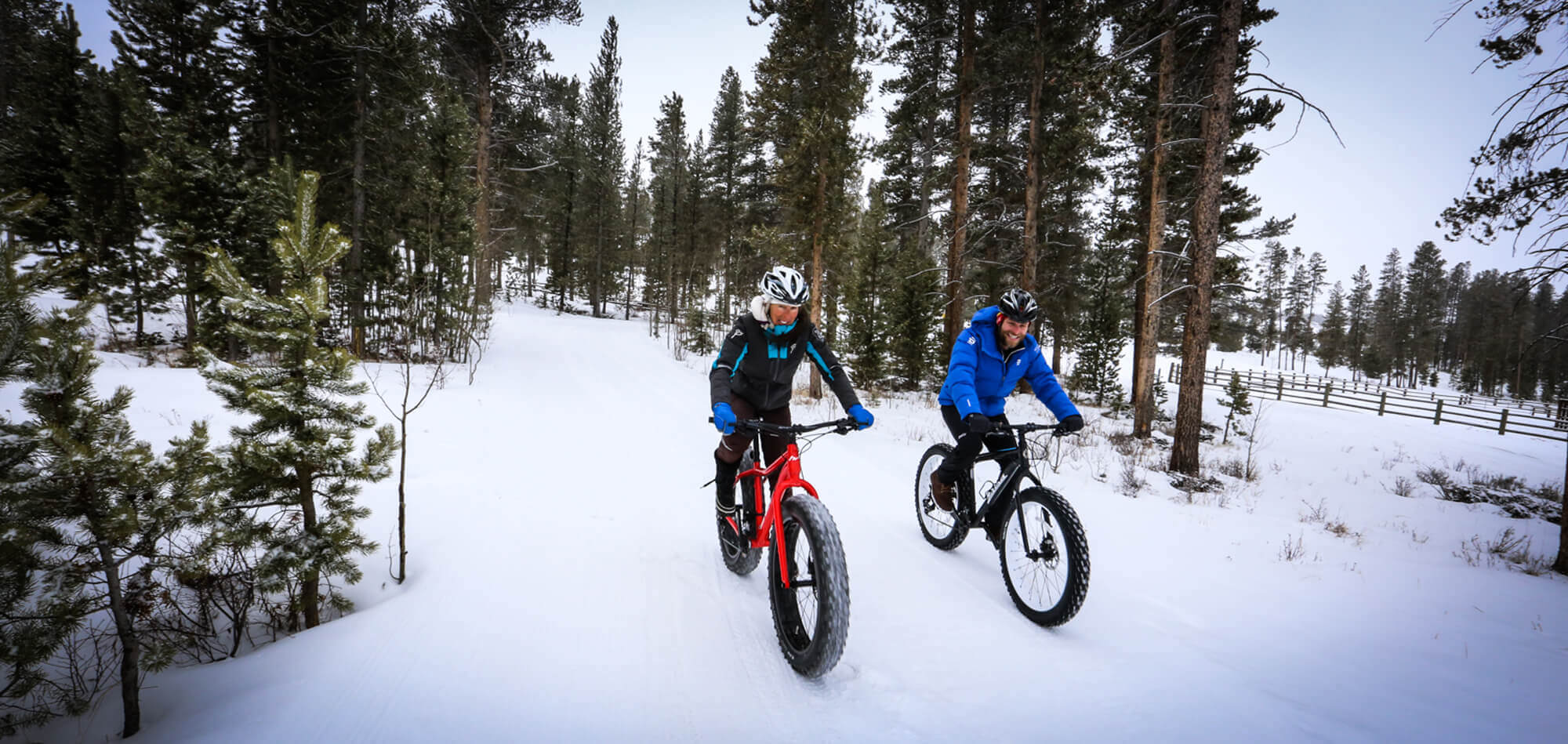 fat tire winter bike