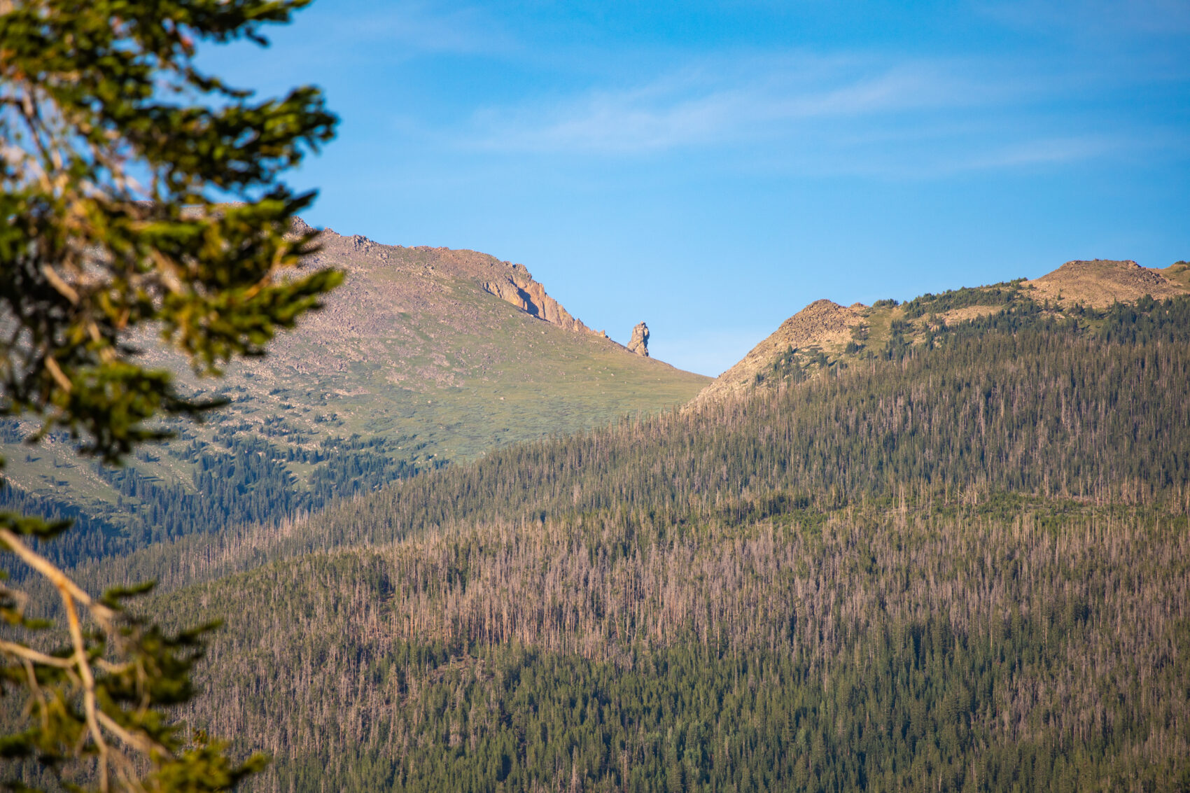 Zip Lining near Winter Park, Colorado | Devil's Thumb Ranch